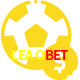Aposte em esportes do mundo todo no LEAOBET!
